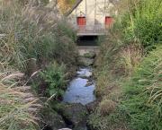 Pourquoi pleures-tu?