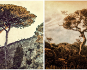 Naturaleza...