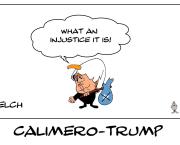 Calimero-Trump , c'est vraiment trop injuste !