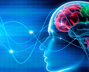 Neuroplasticity – A motivational cue to understand learning