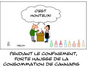 Forte hausse de la consommation de cannabis pendant le confinement