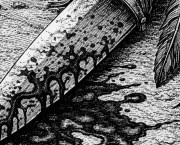 Chapitre 12 – Le jugement