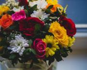 (I, 3) : Le pot aux roses