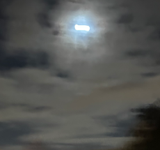prev