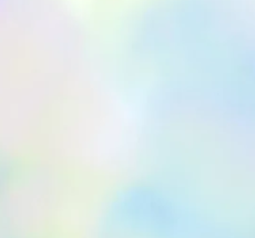 prev