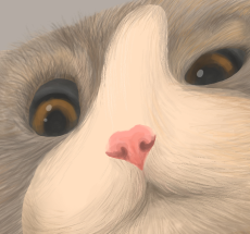 prev