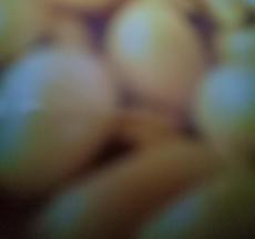 prev