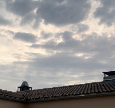 prev