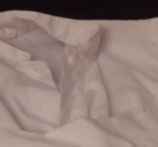 prev