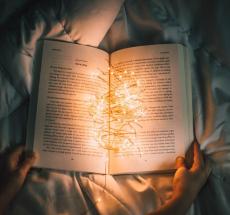 prev