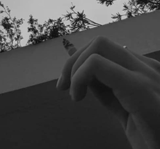 prev
