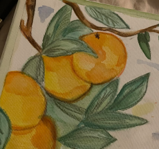 prev