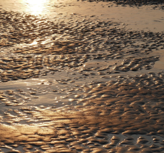 prev