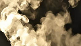 Grain de mer, grain de sable