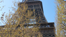 L'ARMURE RÉVÉLÉE ET LE SERMENT TRANSMUTÉ