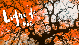 Ligne de vie