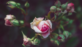 au soleil du mois de mars