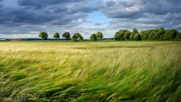 Feuillet de mars : aux quatre vents