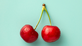 Les couleurs du palais