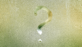 Épisode 6 : Une question de milieu ?