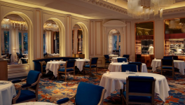 Jour numéro 27 : Oignon