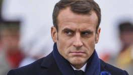 Les moutons et le magicien