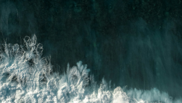 Une chanson d'amour et d'oubli