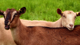 Jour 5  - 27/11/2018