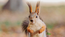 Ma Liasse de Billets d'Humeur