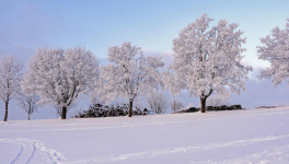 Rencontre avec Alicia Bouffay