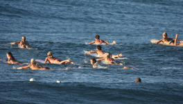 LE SURF FEMININ : UN SUJET HOULEUX