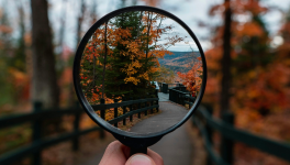 Cadre, diversion et changement de regard