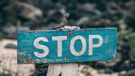 Eh! le blanc, donne mille balles