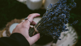 Je me souviens d'Elsa