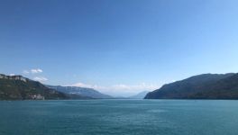 En souvenir de Julie par Alphonse...