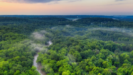 Mais que font les écolos ?