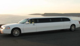 Limousine