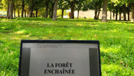 Bienvenue dans la Forêt enchantée (théâtre)