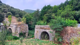 Chapitre 34 - Un coup pour rien