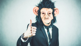 (III,4) : Le roi de la savane