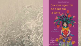 #jour10 : ordre et splendeur.