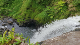 Une terre gorgée d'eau
