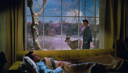 Tout ce que le ciel permet (All That Heaven Allows, Douglas Sirk, 1955)