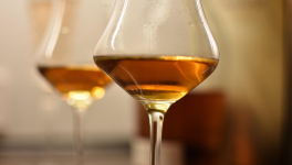 Cognac, armagnac : quelles différences? 