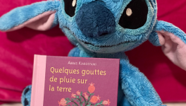 #jour 2 - Comment puis-je dormir ... ?