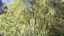 Le jardin du 8 Juillet