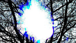 Le journal intime d'Électra (un chapitre avec plusieurs récits)