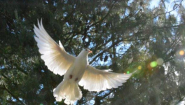 CIRCONSTANCES EXCEPTIONNELLES 2.0