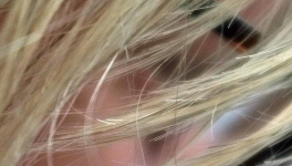 Portrait au féminin