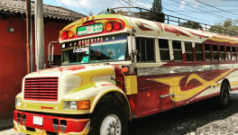 Le permis de conduire